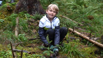Junge pflanzt Baumsetzling bei Kids4Roots Pflanzaktion