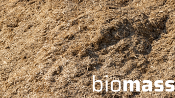 Biomasse