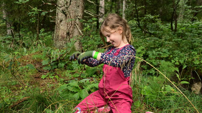 Mädchen beim Pflanzen eines Baumsetzlings im Wald