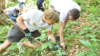 2 Maenner pflanzen einen Racks4Roots Baumsetzling im Wald