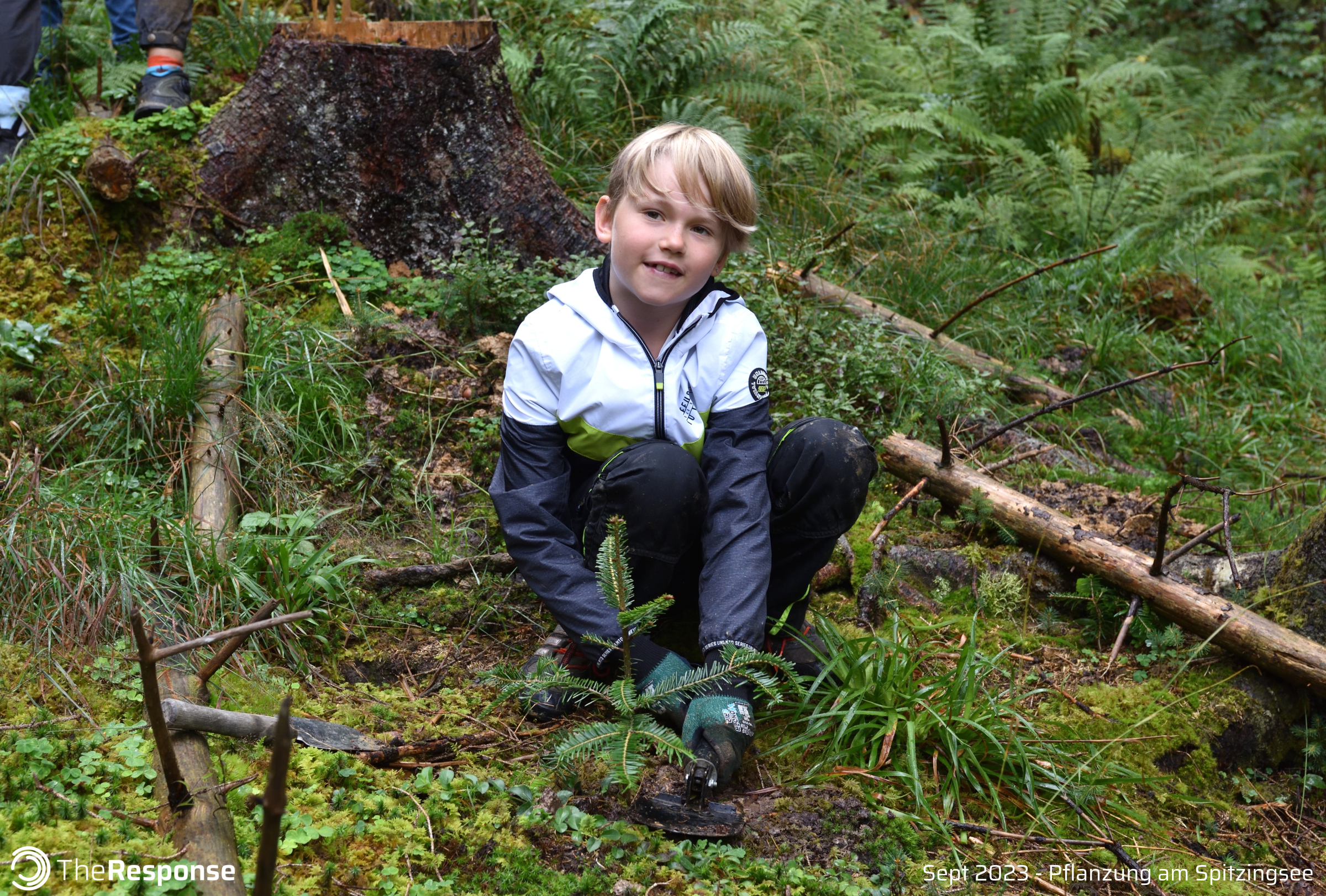 Junge pflanzt Baumsetzling bei Kids4Roots Pflanzaktion