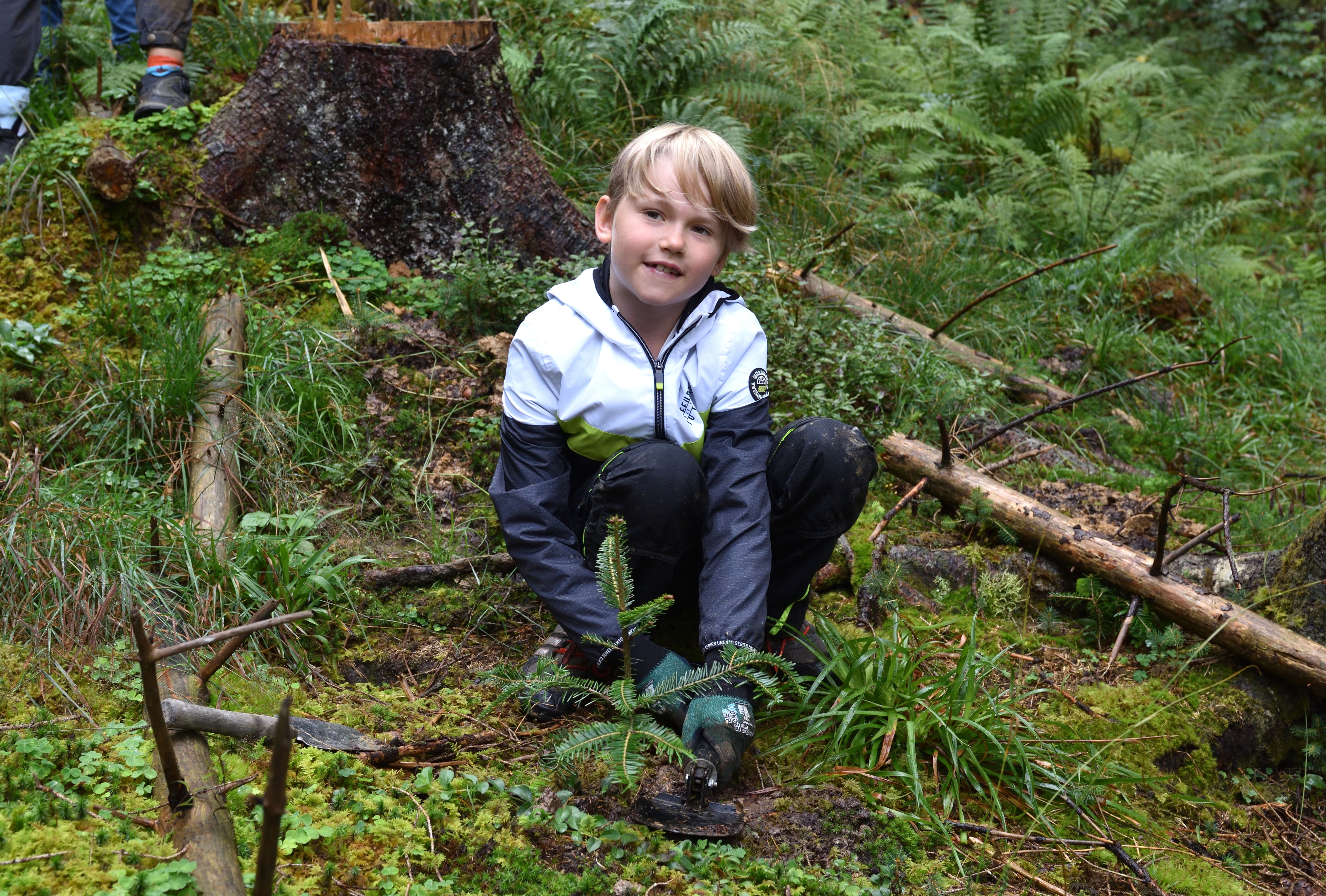 Junge pflanzt Baumsetzling bei Kids4Roots Pflanzaktion
